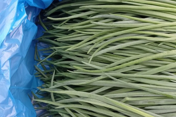 Продаж лука перо- фото № 3