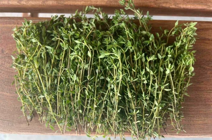 Продажа свежего и сушеного чебреца- фото № 2