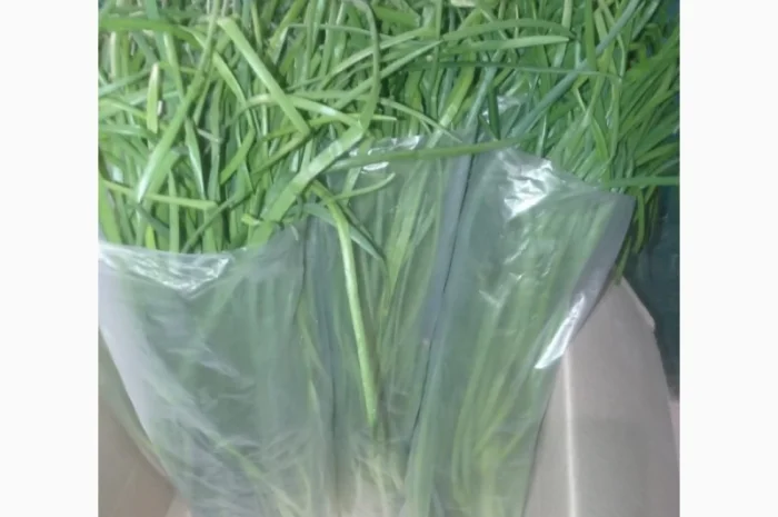 Свежа зелена цибуля оптом- фото № 5