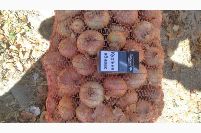 Лук Штутгарт для виганки пера в наявності- фото № 1