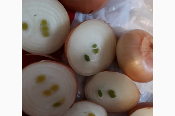 Лук Штутгарт для виганки пера в наявності- фото № 4