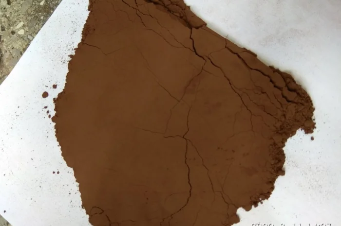 Продажа алкалізованного какао порошка ОЛАМ 10-12%- фото № 1