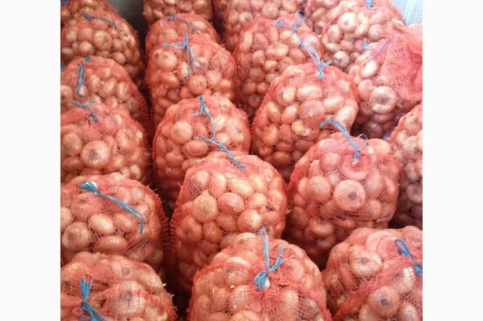 Цибуля Штутгарт на перо для продажи- фото № 1