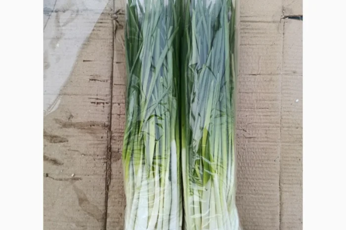 Зелена цибуля на продаж- фото № 1