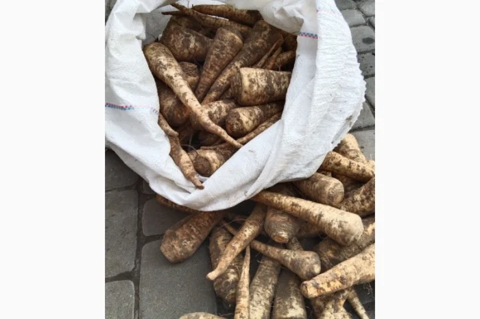 Продаж кореневої петрушки- фото № 1