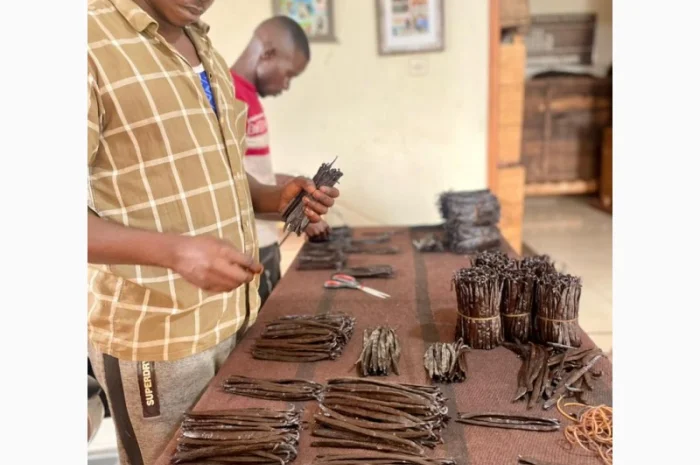 Стручковая ваниль натуральная из Уганды- фото № 2