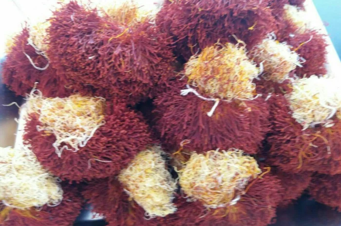 Продаж шафрану Sargol з Ірану- фото № 7