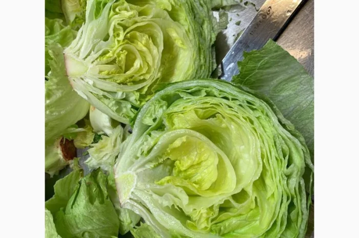 Салат Айсберг от поставщика- фото № 3