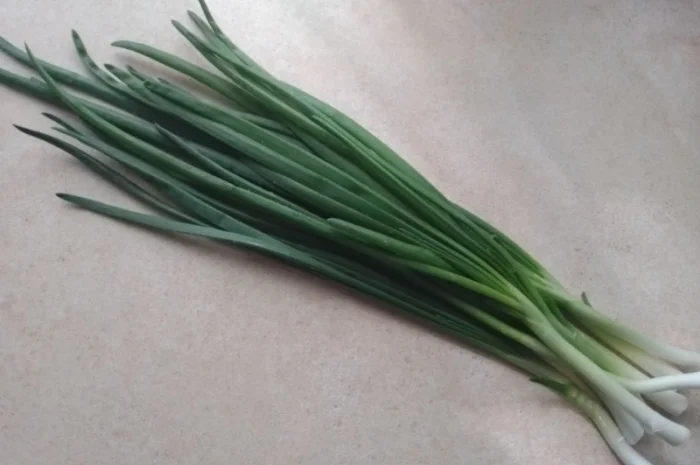 Зелена цибуля перо- фото № 2
