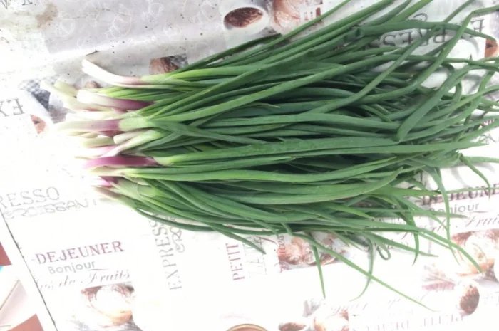Продам зелену цибулю(перо), лук перо, зелений лук- фото № 2