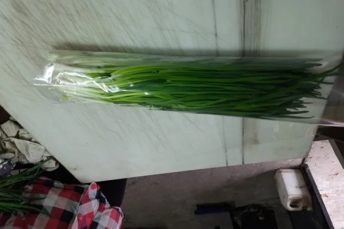 Продам зелену цибулю (перо)- фото № 2