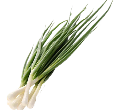 Закупка Цибуля зелена от 500 до 1000 кг в неделю- фото № 1