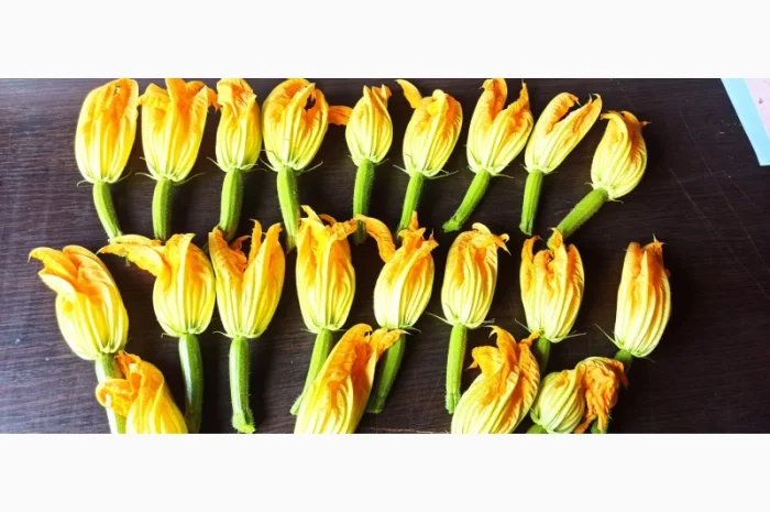 Продаж :: Зелень :: Сезон 2023 :: -квіти цукіні, квіти кабачка, їстівні квіти -Львів- фото № 4