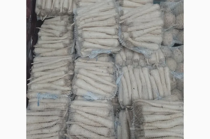 Продам петрушку из Польши- фото № 1