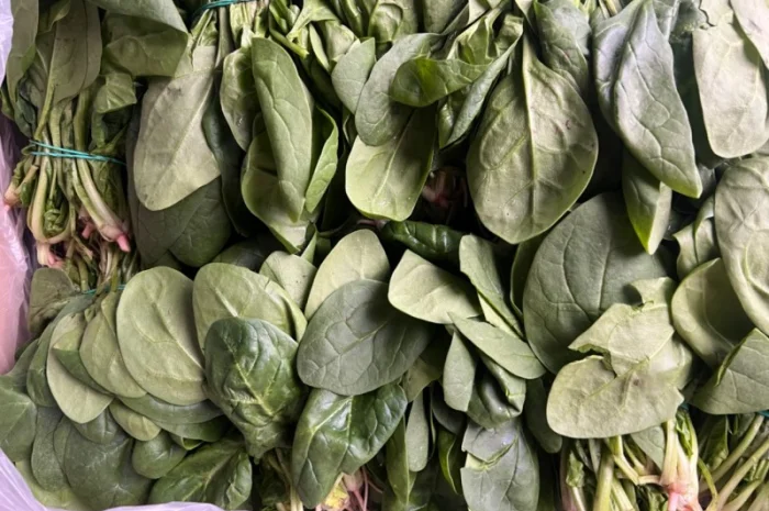 Зелень свіжа Кріп Петрушка та інше- фото № 4