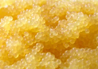 Ікра оселедця с/м Pelagia (NOR) ( 20 кг )- фото № 1