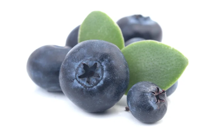 Лохина- фото № 1