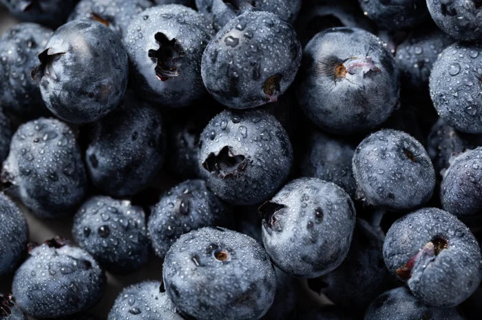 Ягода лохини, голубики- фото № 1