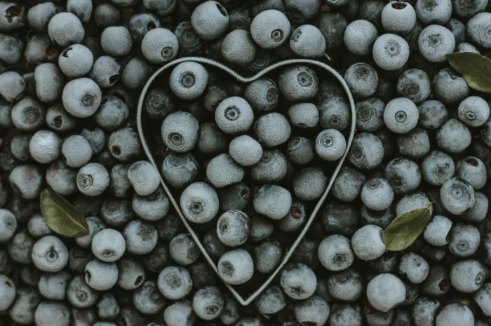 Продам голубику опт и розница 2020год- фото № 1