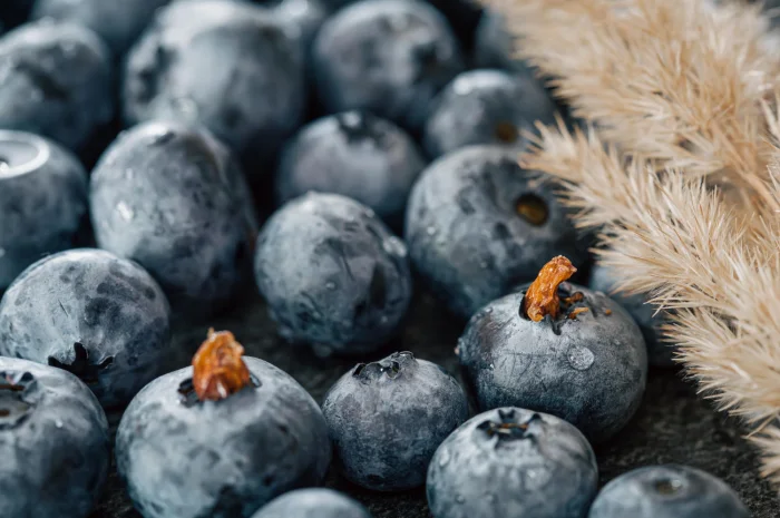 Голубика Крупная Оптом- фото № 1