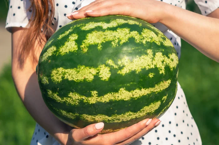 Продам КАВУН оптом з поля- фото № 1