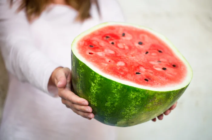 Продам кавуни та дині ОПТОМ з поля.- фото № 1