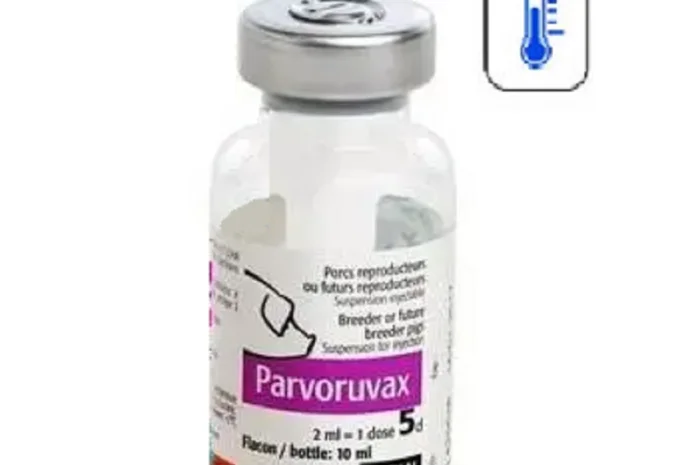 Вакцина Парворувакс 5доз 10мл (парвовірус,бешиха)- фото № 1
