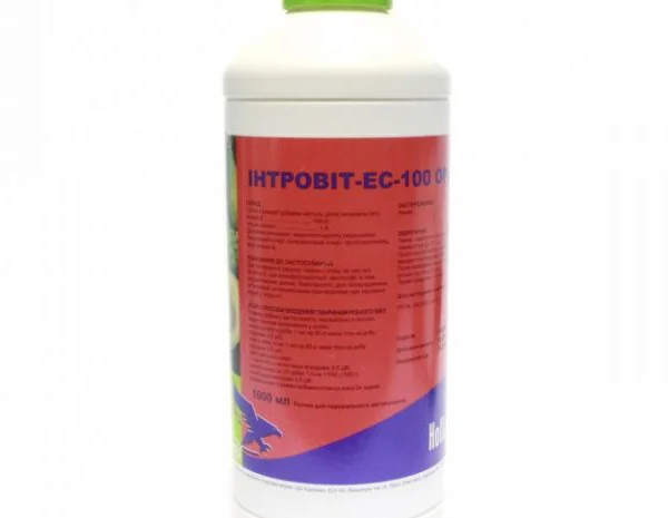 Інтровіт А+орал 1 л вітаміни Interchemie- фото № 1