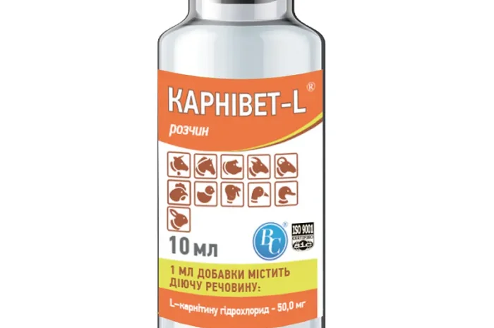 Карнівет L 10 мл Ветсинтез- фото № 1