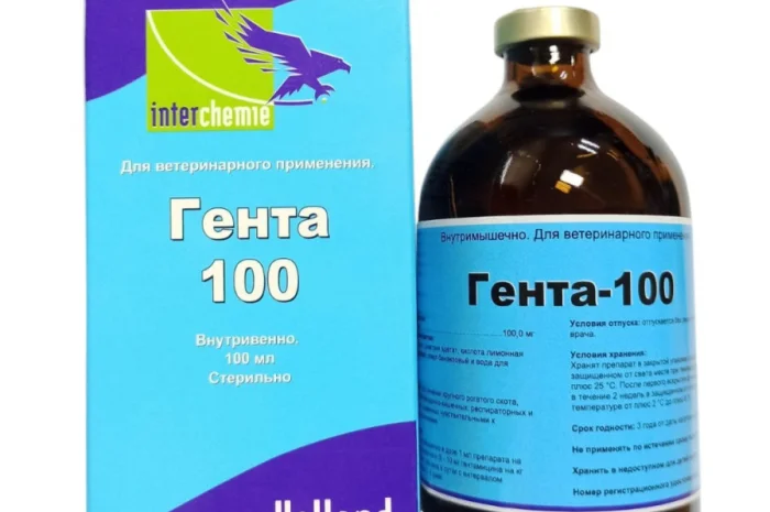 Гента-100, 100 мл- фото № 1