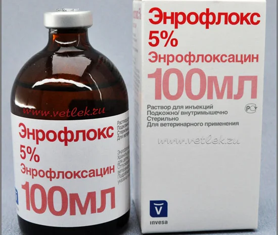 Енрофлокс 5%, 100 мл- фото № 1
