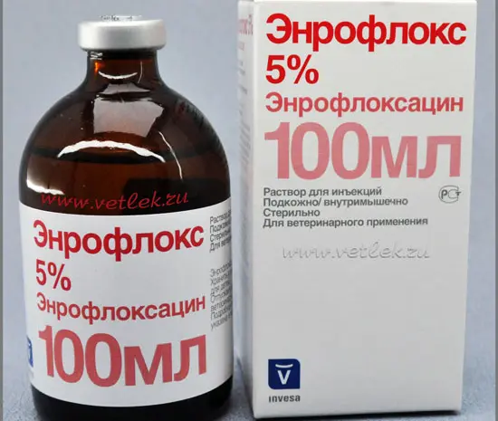 Енрофлокс 5%, 100 мл- фото № 1