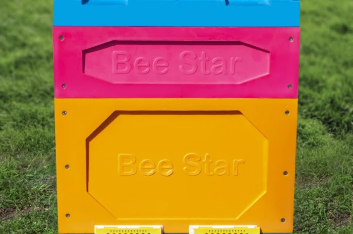 Вулик ППУ “BeeStar” (1 корпус Дадан 300 мм- фото № 2