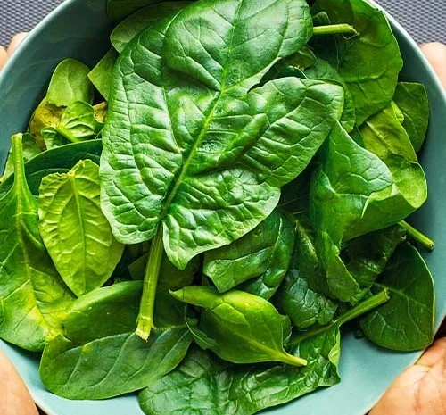 Шпинат Лагос (насіння)- фото № 1