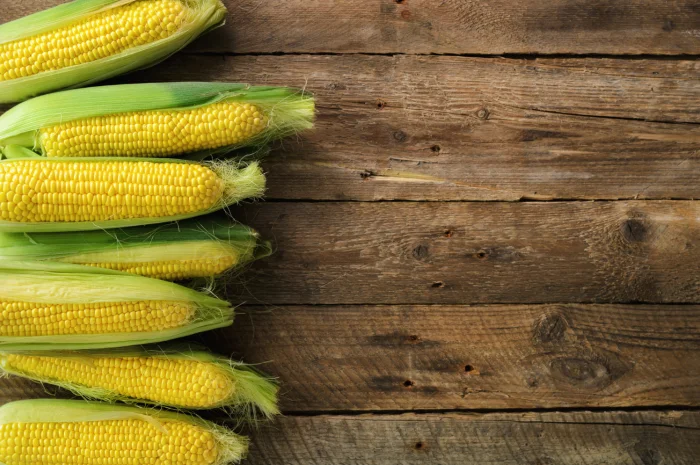 Кукурудза Цукрова Оверленд F1 (насіння)- фото № 1