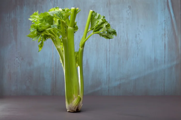 Селера коренева Діамант (насіння)- фото № 1