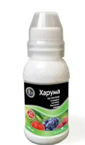 Харума 100 мл- фото № 1