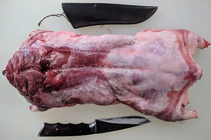 Нутрія- фото № 1