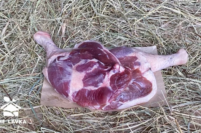 Гусяча ніжка- фото № 1