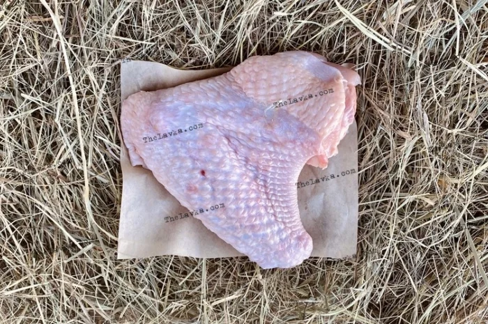 Крило індички- фото № 1