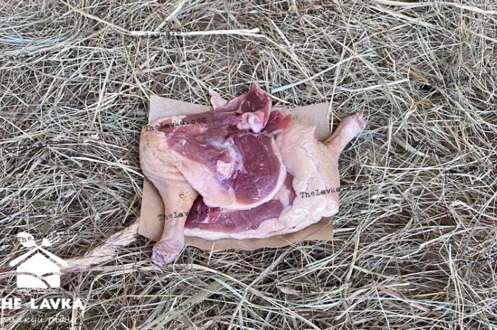 Окіст качиний- фото № 1