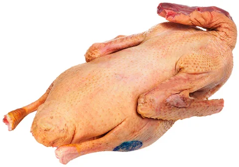 Продам тушки гусей- фото № 1