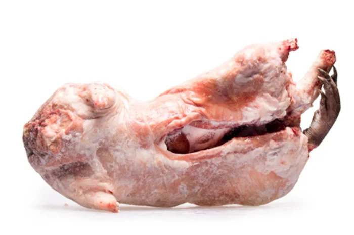 М’ясо нутрії- фото № 1