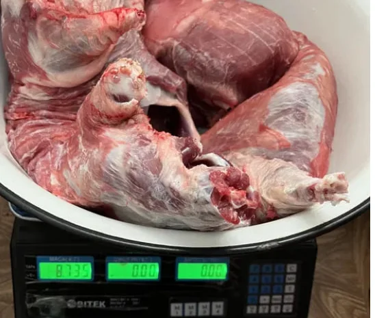 М‘ясо нутрії, м‘ясо нутрии, нутрія, нутрятина- фото № 1