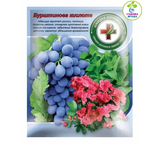 Бурштинова кислота- фото № 1