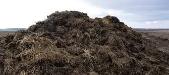 Навоз- фото № 1