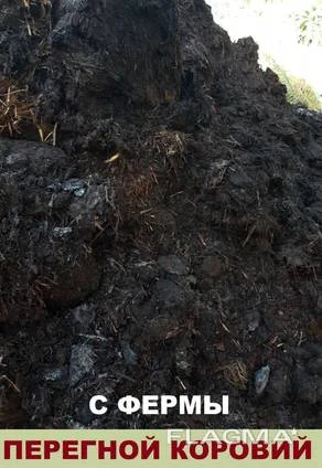 Перегной коровий. Навоз. Компост.- фото № 1