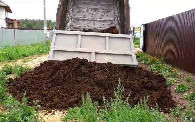 Перегной. Навоз. Земля. Перегной коровий- фото № 1