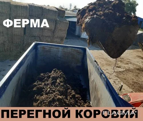 Коровий Перегной. Навоз коровий. Компост.- фото № 1