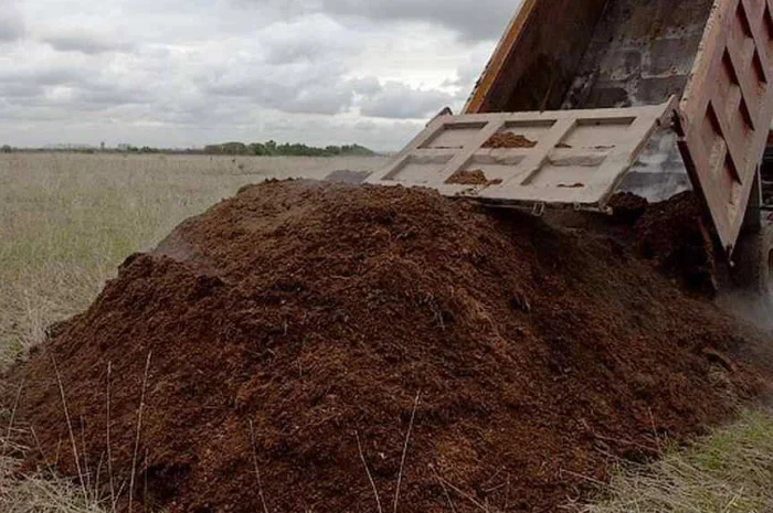 Перегной коровий, конский. Навоз. удобрение.- фото № 1